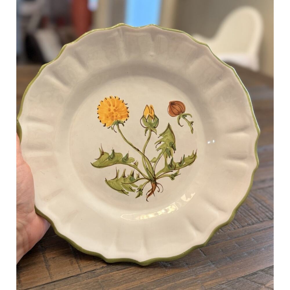 PV Italy Hand Painted Ceramic Plate Dandelion Floral Green Rim 11”
